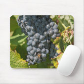 Uruguay, Montevideo, Colon Area. Bodegas Mousepad (Mit Mouse)