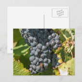 Uruguay, Montevideo, Colon Area. Bodegas Postkarte (Vorne/Hinten)