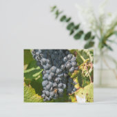Uruguay, Montevideo, Colon Area. Bodegas Postkarte (Stehend Vorderseite)