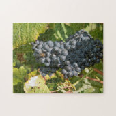 Uruguay, Montevideo, Colon Area. Bodegas Puzzle (Horizontal)