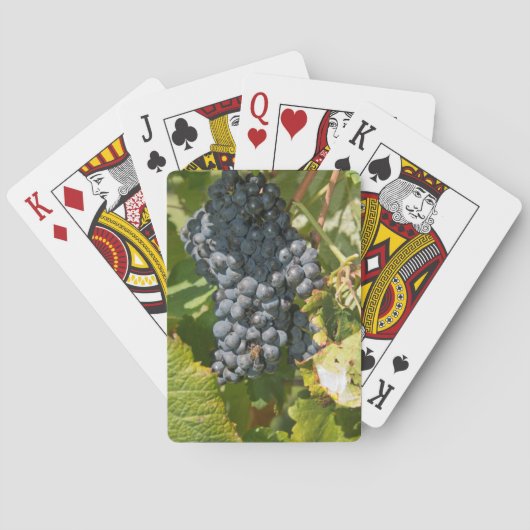 Uruguay, Montevideo, Colon Area. Bodegas Spielkarten (Rückseite)