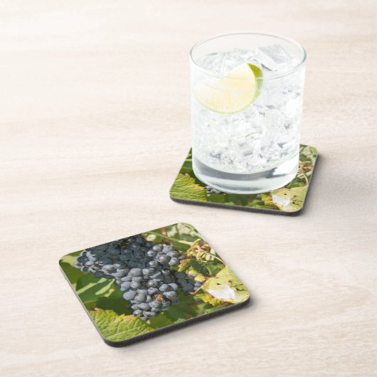 Uruguay, Montevideo, Colon Area. Bodegas Untersetzer (Rechte Seite)