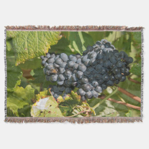 Uruguay, Montevideo, Colon-Gebiet. Bodegas Decke