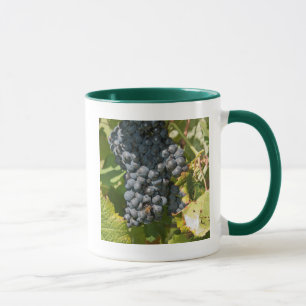 Uruguay, Montevideo, Colon-Gebiet. Weinkeller Tasse