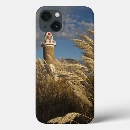 Uruguay, Montevideo Department, Montevideo. 2 Case-Mate iPhone Hülle (Rückseite)