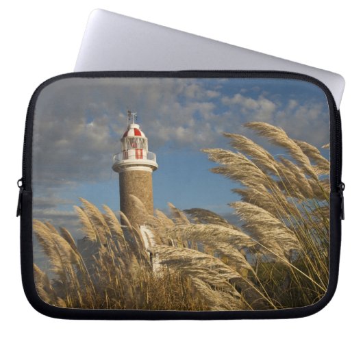 Uruguay, Montevideo Department, Montevideo. 2 Laptopschutzhülle (Vorderseite)