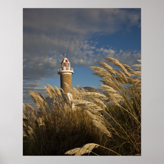 Uruguay, Montevideo Department, Montevideo. 2 Poster (Vorne)
