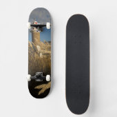 Uruguay, Montevideo Department, Montevideo.2 Skateboard (Vorderseite)