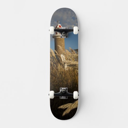 Uruguay, Montevideo Department, Montevideo.2 Skateboard (Vorderseite)