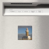 Uruguay, Montevideo Department, Montevideo. 3 Magnet (In Situ (Geschirrspüler))