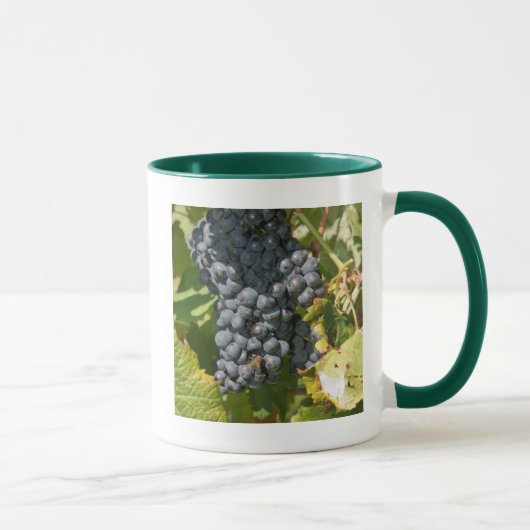 Uruguay, Montevideo, Doppelpunkt-Bereich. Bodegas Tasse (Rechts)