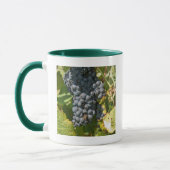 Uruguay, Montevideo, Doppelpunkt-Bereich. Bodegas Tasse (Links)