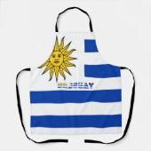Uruguayische Flagge Schürze (Vorderseite)