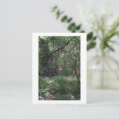 Urwald Custom Louisiana Foto Postkarte (Stehend Vorderseite)
