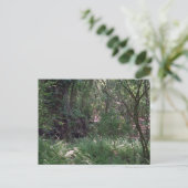 Urwald Custom Louisiana Foto Postkarten (Stehend Vorderseite)