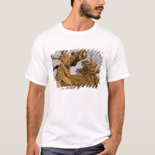 Urwald der Borstenkiefern, White Mountains, CA T-Shirt