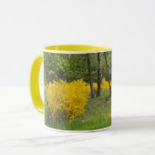 Urwald in Luxemburg - Reise Tasse (Vorderseite Links)