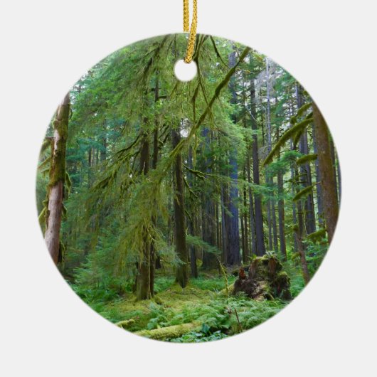 Urwald Keramik Ornament (Vorne)