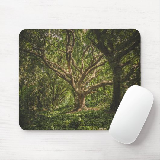Urwald Mousepad (Mit Mouse)