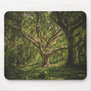 Urwald Mousepad