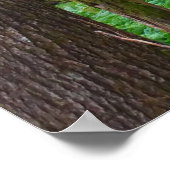 Urwald Poster (Ecke)