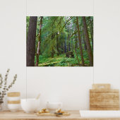 Urwald Poster (Küche)