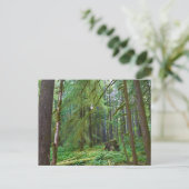 Urwald Postkarte (Stehend Vorderseite)