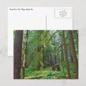 Urwald Postkarte (Vorne/Hinten)