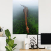 Urwaldfotografie-Poster Poster (Heimbüro)