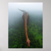 Urwaldfotografie-Poster Poster (Vorne)