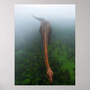 Urwaldfotografie-Poster Poster