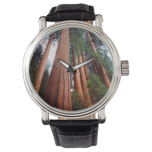 Urwaldmammutbäume Armbanduhr