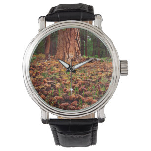 Urwüchsiger Ponderosa-Baum mit Kiefernzapfen Armbanduhr