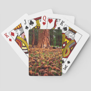 Urwüchsiger Ponderosa-Baum mit Kiefernzapfen Spielkarten