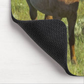 US35 CHA0209.jpg Mousepad (Ecke)
