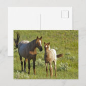US35 CHA0209.jpg Postkarte (Vorne/Hinten)
