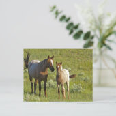 US35 CHA0209.jpg Postkarte (Stehend Vorderseite)