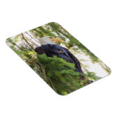 US48 TDR1627,jpg Magnet (Rechte Seite)