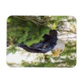 US48 TDR1627,jpg Magnet (Horizontal)