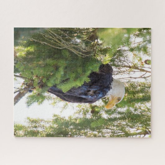 US48 TDR1627,jpg Puzzle (Horizontal)