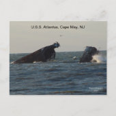 US Atlantus Ship, New Jersey Postcard Postkarte (Vorderseite)