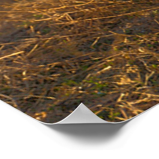 US BEKÄMPFUNG DER FRAUEN POSTER (Ecke)