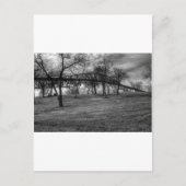 US, Brücke auf Port Arthur, TX. Schwarzweiss. Postkarte (Vorderseite)