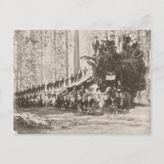 US Calvary schützt Nationalparks Postkarte (Vorderseite)