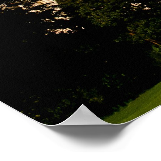 US Capitol Building Poster (Ecke)