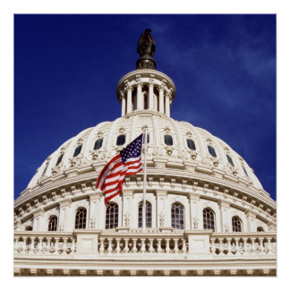 US capitol building, Washington DC Poster
