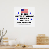 US Due Process Poster (Küche)
