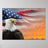 US Flag Eagle Poster (Vorne)