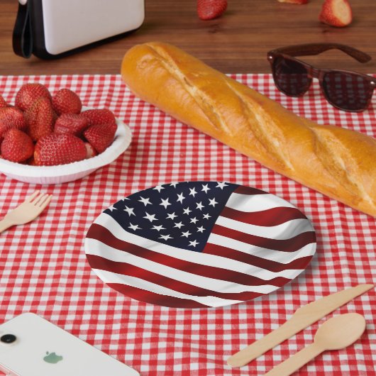 US FLAGGE FLAG PAPPTELLER (Picknick)