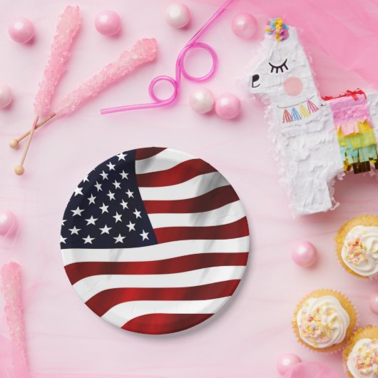 US FLAGGE FLAG PAPPTELLER (Party)